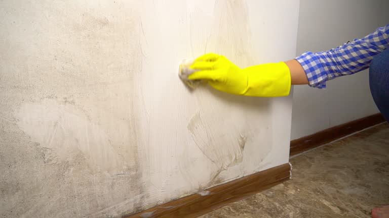 Mold Remediation for Rental Properties in Stratford Downtown, CT